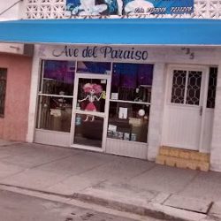 Ave Del Paraíso