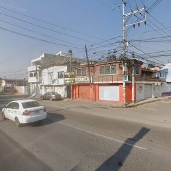 Ave Del Paraíso