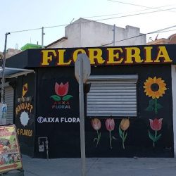 Axxa Floral