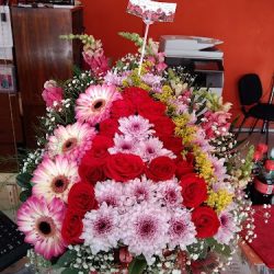 Azucena Floreria