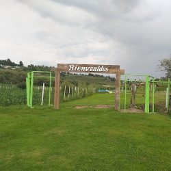 Balneario Los Sauses