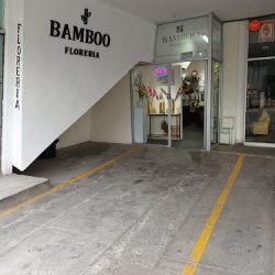 Bamboo Floreria Tijuana