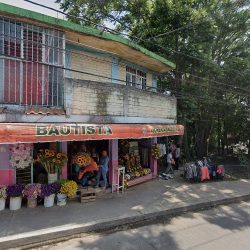 Bautista