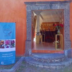 Bego Floristeria