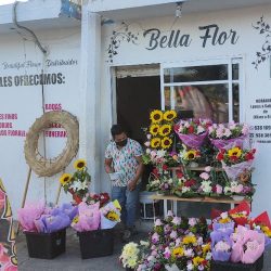 Bella Flor