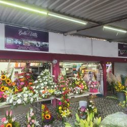 Bella Vitta Floreria