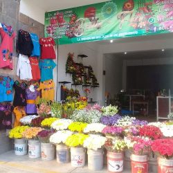 Bellaflor Florería