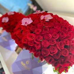 Bellissimo Floreria