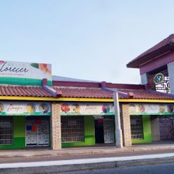 Bello Florecer (flores Frescas, Follajes Y Accesorios) Menudeo Y Mayoreo