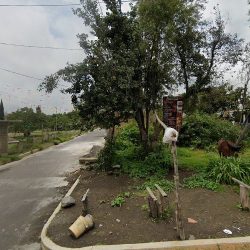 Bg FlorerÍa