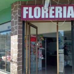 Bianka Diseño Floral