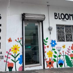 Bloom Floreria
