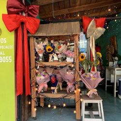 Blooming Flores & Eventos