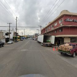 Bodega De Flores