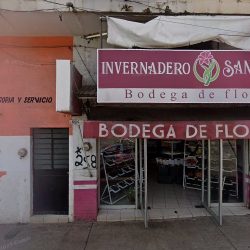 Bodega De Flores