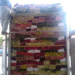 Bodega De Flores Aguiluz