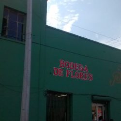 Bodega De Flores, Flores Y Plantas Del Norte