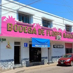 Bodega De Flores García
