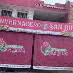 Bodega De Flores Invernadero San Diego Zamora