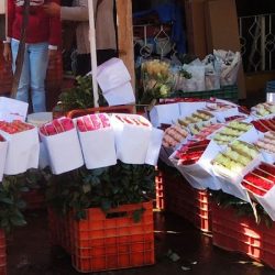 Bodega De Flores Myflor