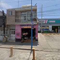 Bodega De Flores Ortiz