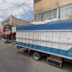 Bodega De Flores Paloma