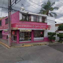 Bodega De Flores San José