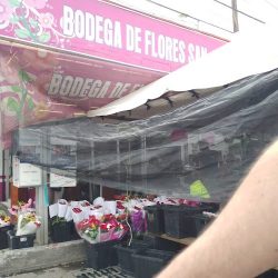 Bodega De Flores San Jose