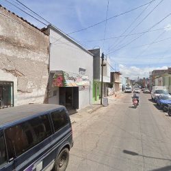 Bodega De Flores Sanchez