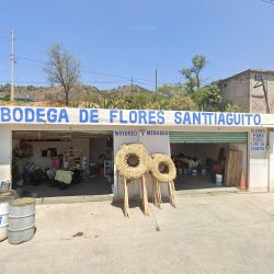 Bodega De Flores Santiaguito