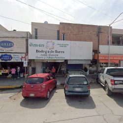Bodega De Flores Y Follages Casa Blanca