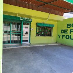 Bodega De Flores Y Follaje