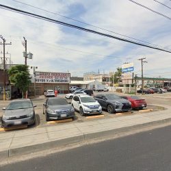 Bodega De Flores Y Follajes