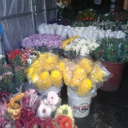 Bodega Jalisco "gp" Flores Y Eventos