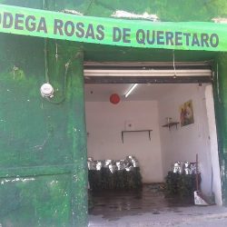 Bodega Rosas De Querétaro