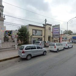 Bonitas Flores Y Algunas