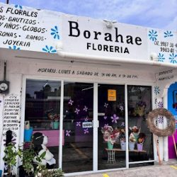 Borahae Florería