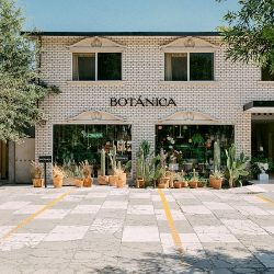Botánica