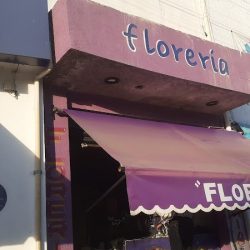 Boulevard Epsilon