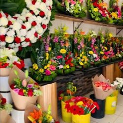Bouquet Floreria