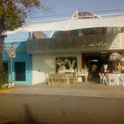 Brillante Victoria Floreria