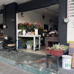 Bris Sandoval Diseño Floral (flower Garden Jal)