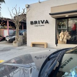 Briva Casa Floral