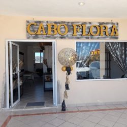 "cabo Flora"