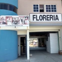 Cabo Flowers Y Cakes