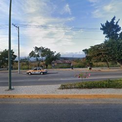 Candox Florería.