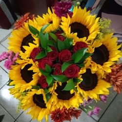 Capital Flor