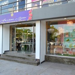 Carmen Flor Y Plantas Las Quintas