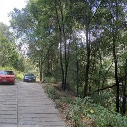 Casa De La Familia Flores