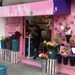 Casa Floral Lemanid
